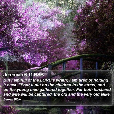 Jeremiah 6:11 BSB Bible Verse Image