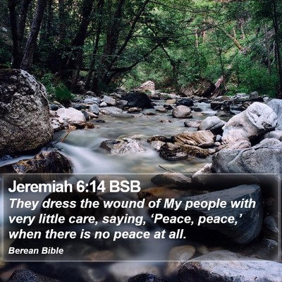 Jeremiah 6:14 BSB Bible Verse Image