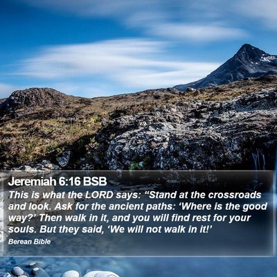 Jeremiah 6:16 BSB Bible Verse Image