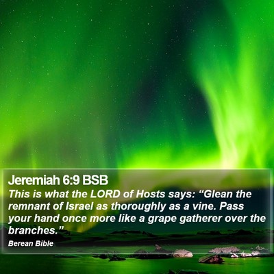 Jeremiah 6:9 BSB Bible Verse Image