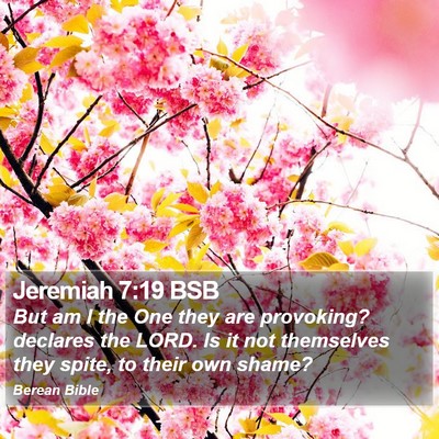 Jeremiah 7:19 BSB Bible Verse Image