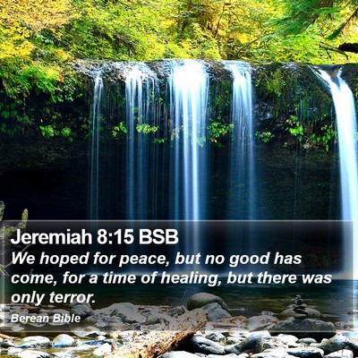 Jeremiah 8:15 BSB Bible Verse Image