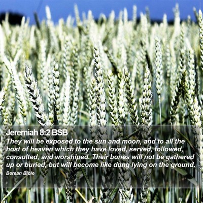Jeremiah 8:2 BSB Bible Verse Image