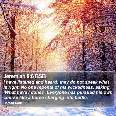 Jeremiah 8:6 BSB Bible Verse Image