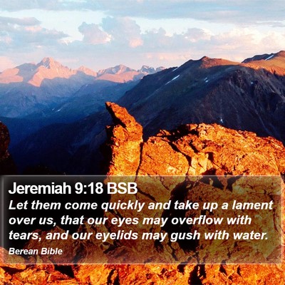 Jeremiah 9:18 BSB Bible Verse Image