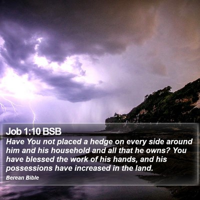 Job 1:10 BSB Bible Verse Image