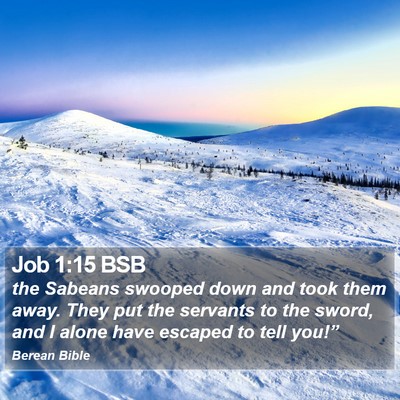Job 1:15 BSB Bible Verse Image