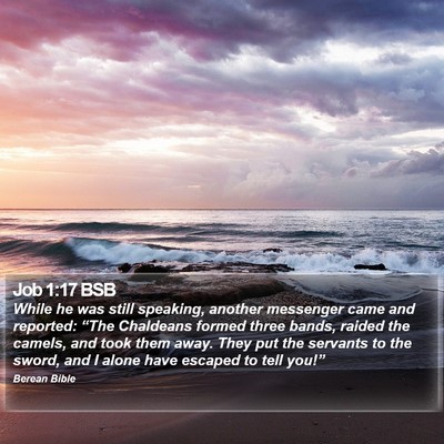 Job 1:17 BSB Bible Verse Image