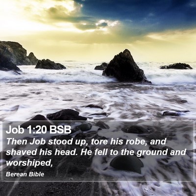 Job 1:20 BSB Bible Verse Image