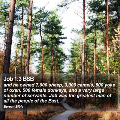 Job 1:3 BSB Bible Verse Image