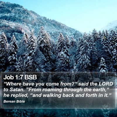 Job 1:7 BSB Bible Verse Image