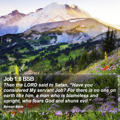 Job 1:8 BSB Bible Verse Image