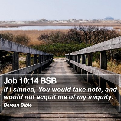 Job 10:14 BSB Bible Verse Image