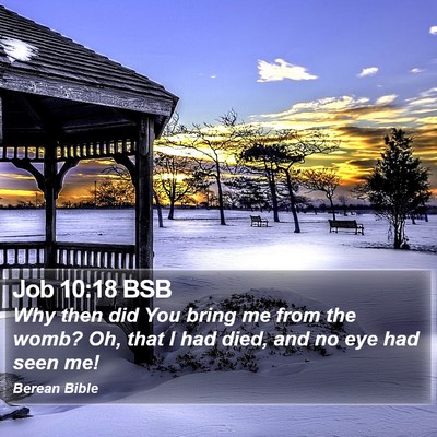 Job 10:18 BSB Bible Verse Image