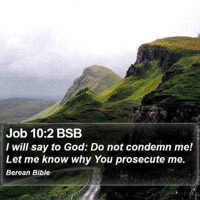 Job 10:2 BSB Bible Verse Image
