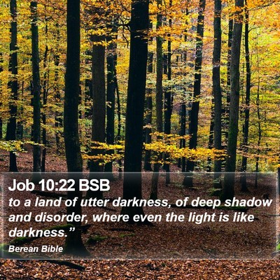Job 10:22 BSB Bible Verse Image