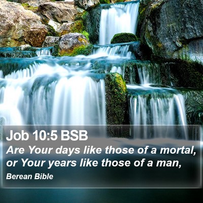 Job 10:5 BSB Bible Verse Image