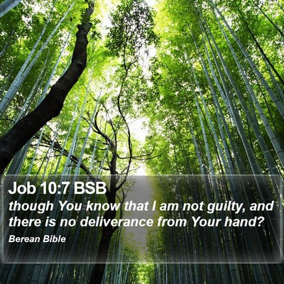 Job 10:7 BSB Bible Verse Image