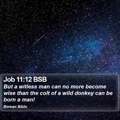 Job 11:12 BSB Bible Verse Image