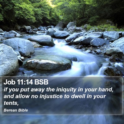 Job 11:14 BSB Bible Verse Image