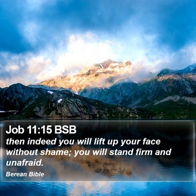 Job 11:15 BSB Bible Verse Image