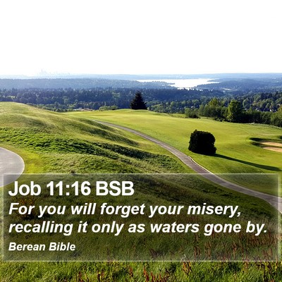 Job 11:16 BSB Bible Verse Image