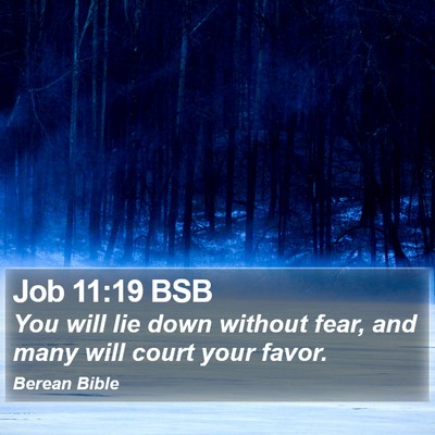 Job 11:19 BSB Bible Verse Image