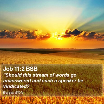 Job 11:2 BSB Bible Verse Image