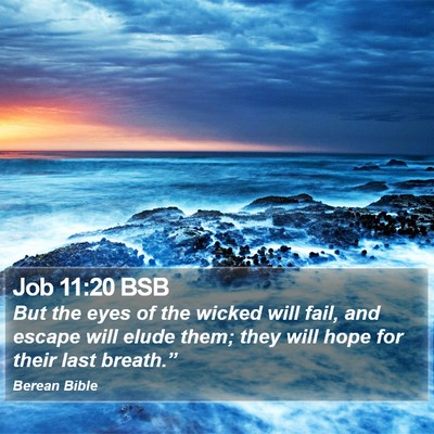 Job 11:20 BSB Bible Verse Image