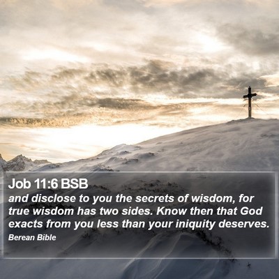 Job 11:6 BSB Bible Verse Image