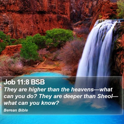 Job 11:8 BSB Bible Verse Image