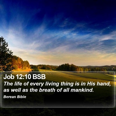 Job 12:10 BSB Bible Verse Image