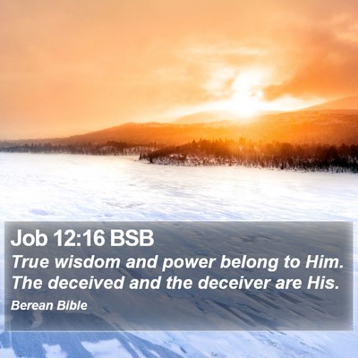Job 12:16 BSB Bible Verse Image
