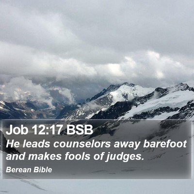 Job 12:17 BSB Bible Verse Image