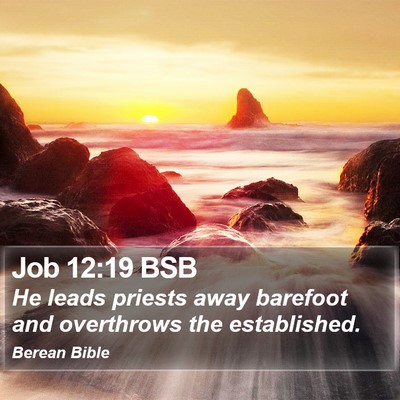 Job 12:19 BSB Bible Verse Image