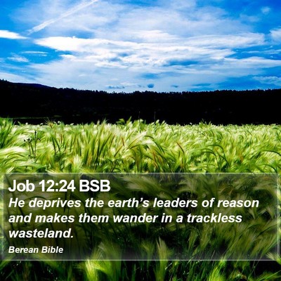 Job 12:24 BSB Bible Verse Image