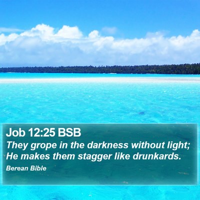 Job 12:25 BSB Bible Verse Image