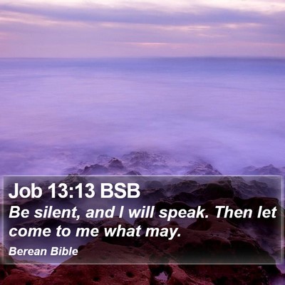 Job 13:13 BSB Bible Verse Image