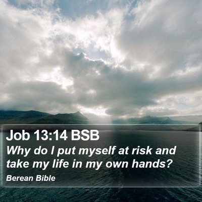 Job 13:14 BSB Bible Verse Image