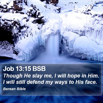 Job 13:15 BSB Bible Verse Image