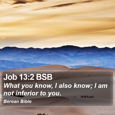 Job 13:2 BSB Bible Verse Image