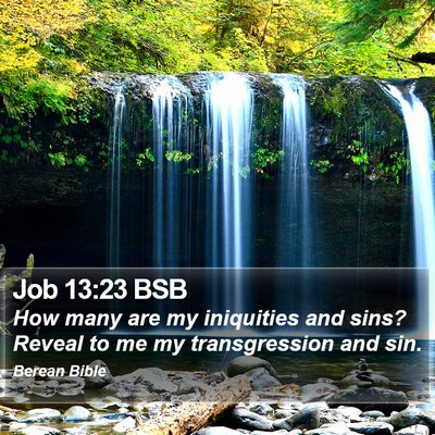 Job 13:23 BSB Bible Verse Image