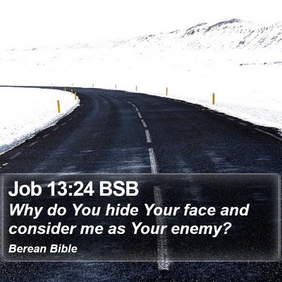 Job 13:24 BSB Bible Verse Image