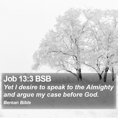 Job 13:3 BSB Bible Verse Image