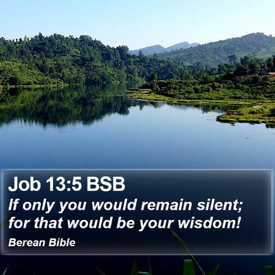Job 13:5 BSB Bible Verse Image