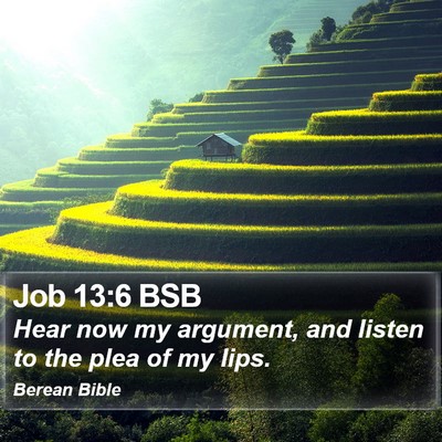 Job 13:6 BSB Bible Verse Image