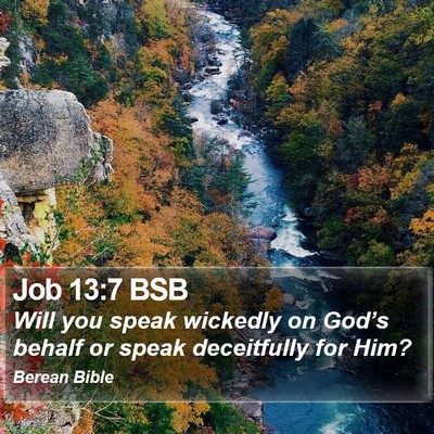 Job 13:7 BSB Bible Verse Image