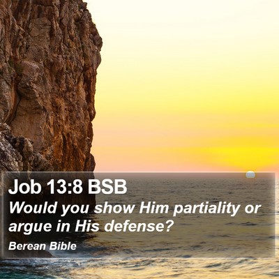 Job 13:8 BSB Bible Verse Image