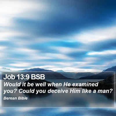 Job 13:9 BSB Bible Verse Image
