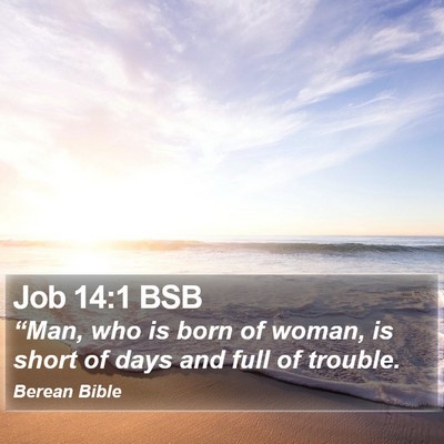 Job 14:1 BSB Bible Verse Image
